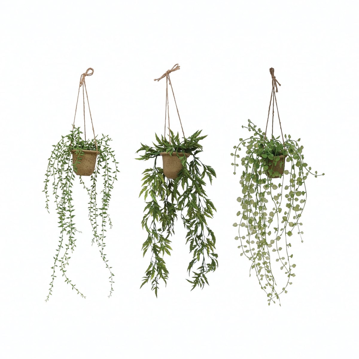 Creative Coop Hanging ivy Plant