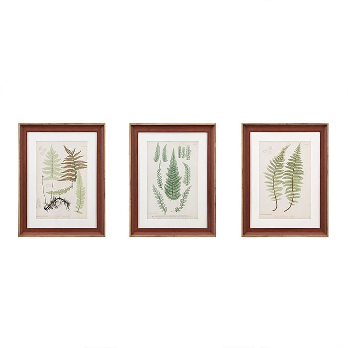 Olliix Lady Fern Wall Art