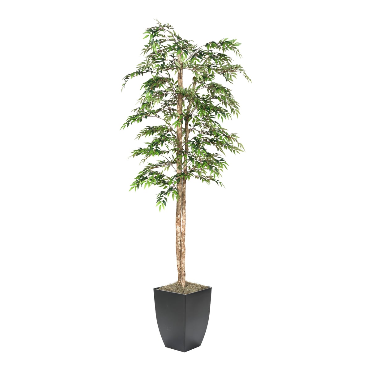 dw silk Ruscus Tree Floral
