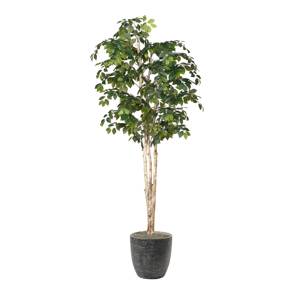 dw silk Sakaki Tree Floral