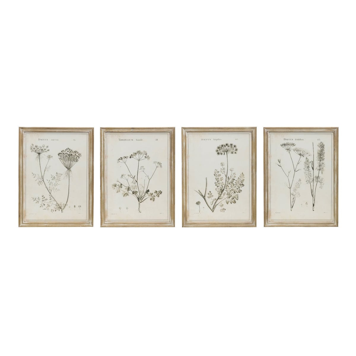 Creative Coop Framed Botanical Wall Art
