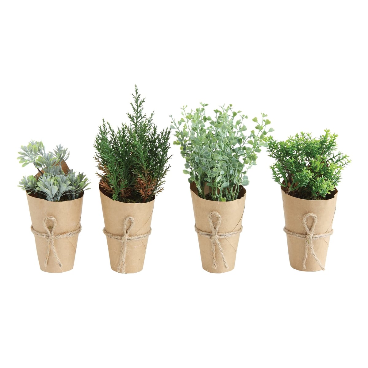 Creative Coop Small potted plant