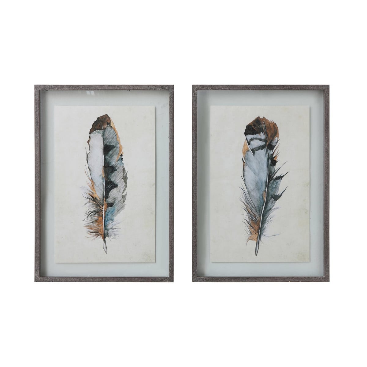 Creative Coop Framed feather print Wall Art