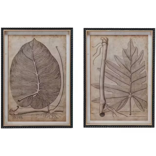 Creative Coop Botanical Print Wall Art