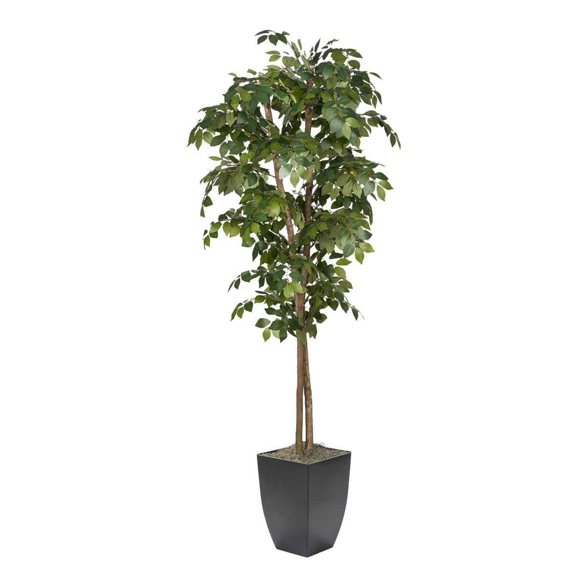 dw silk Sakaki Tree Floral