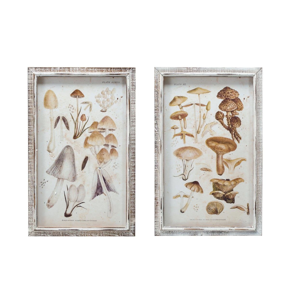 Creative Coop Mushroom Wood Frame