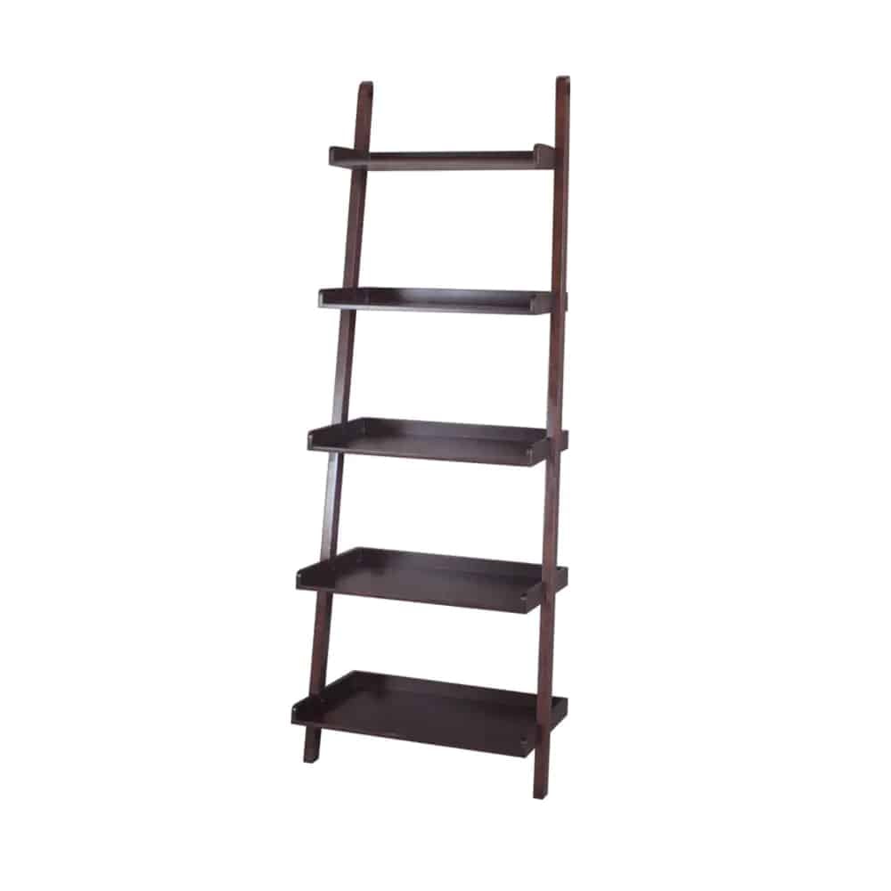 Overstock 6FT Ladder Bookshelf