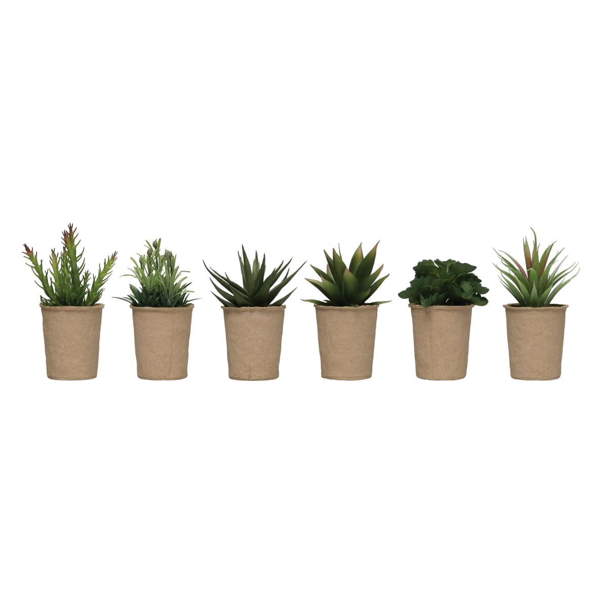 Creative Coop Potted succulent Plant
