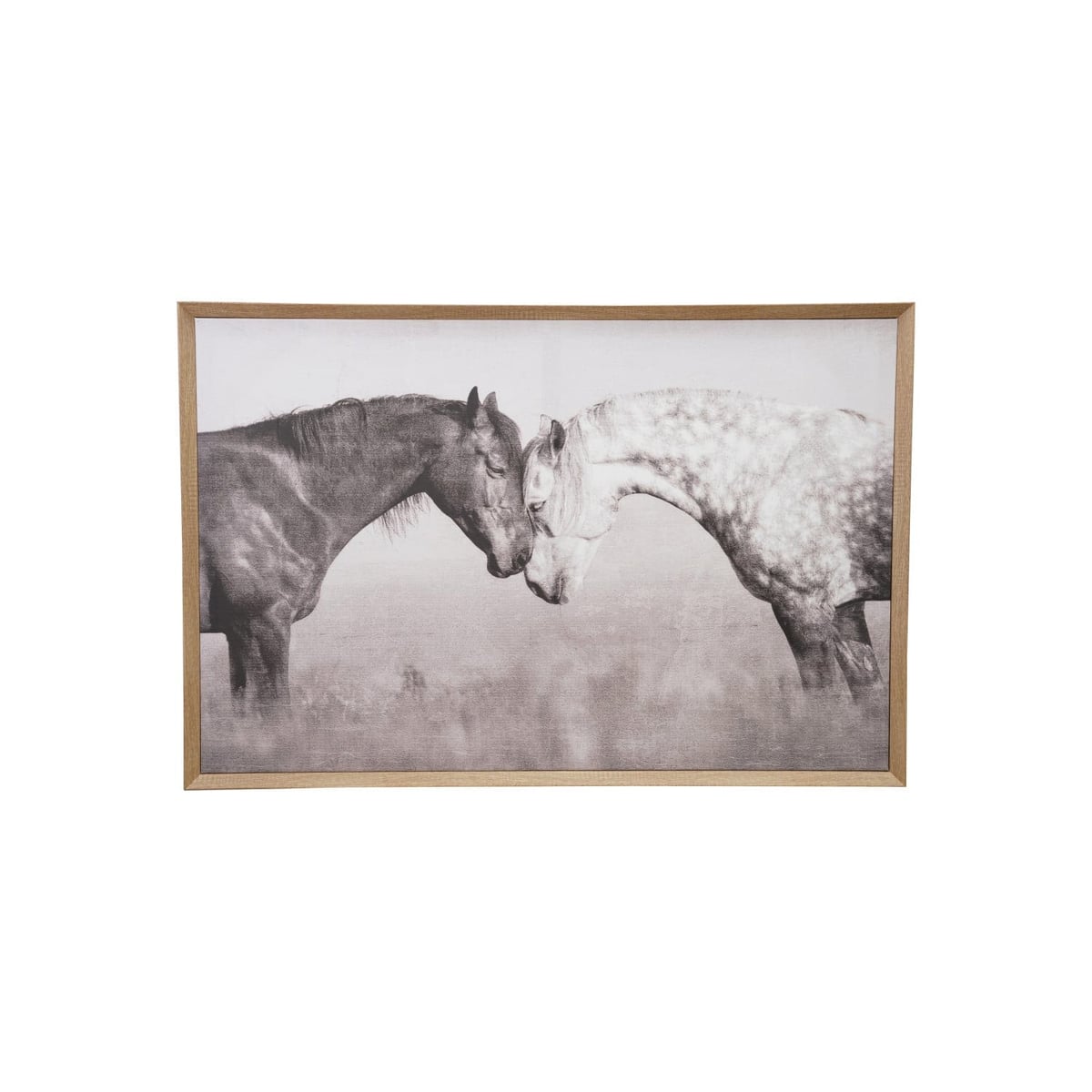 Creative Coop Horse Photography Wall Art