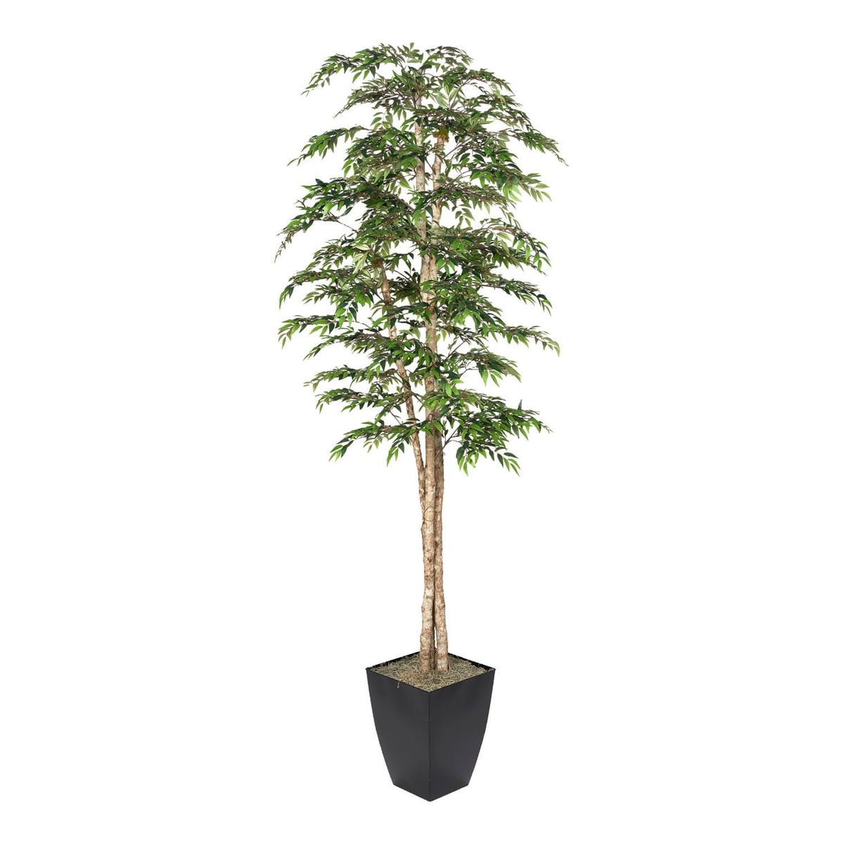 dw silk Ruscus Tree Trees