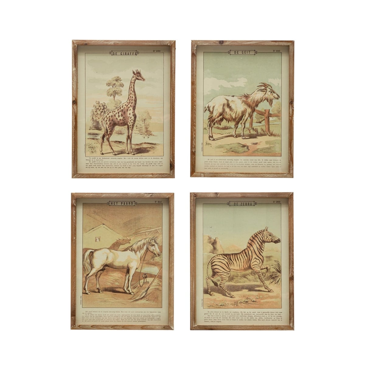 Creative Coop Animal Framed Prints Wall Art