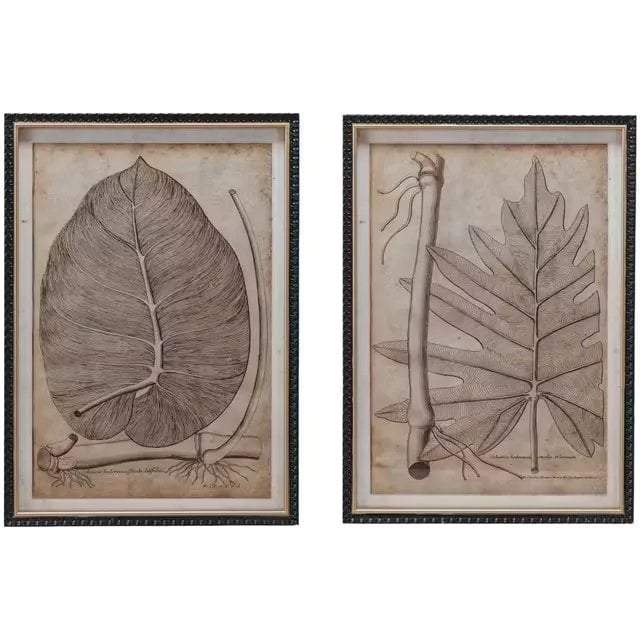 Creative Coop Botanical print Wall Art