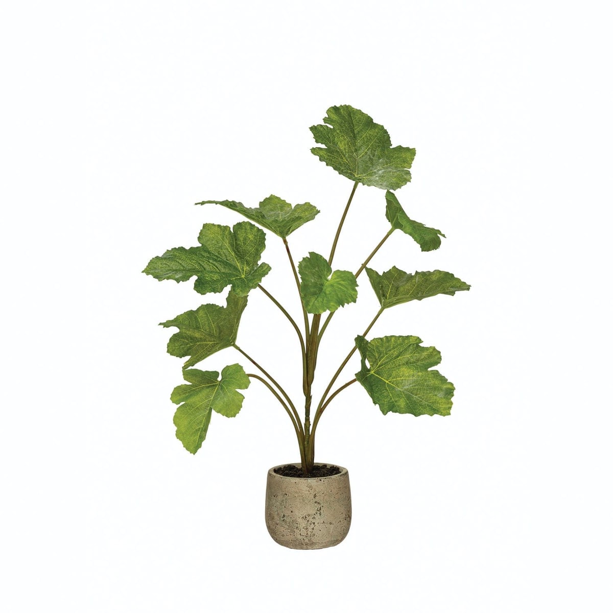 Creative Coop Cement Pot Faux Plant