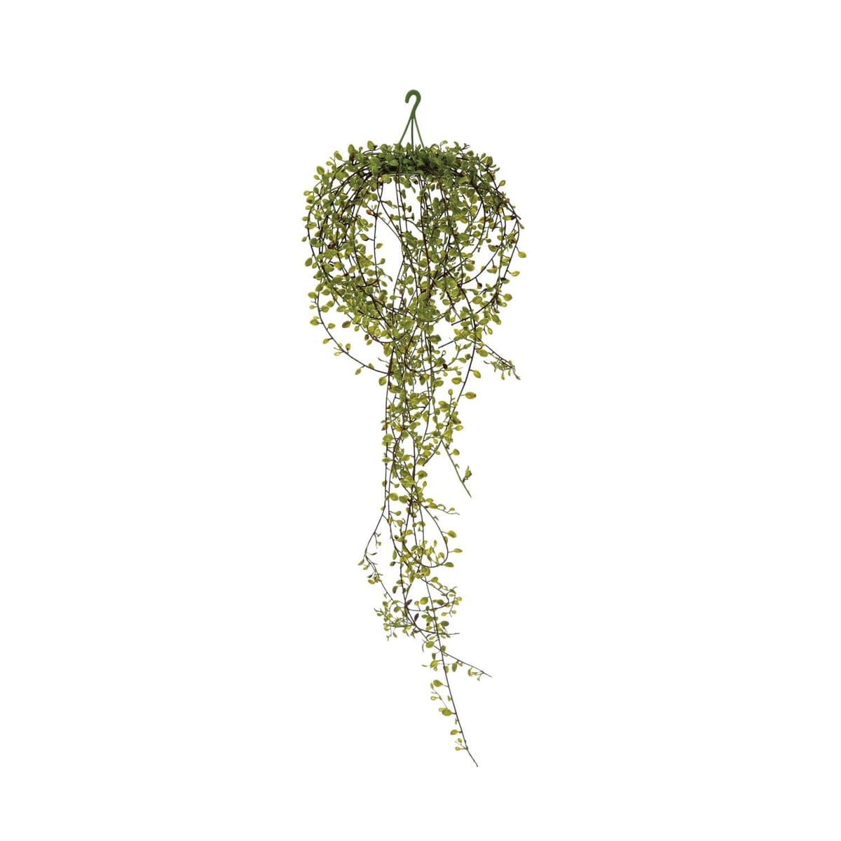 Creative Coop Hanging Plant