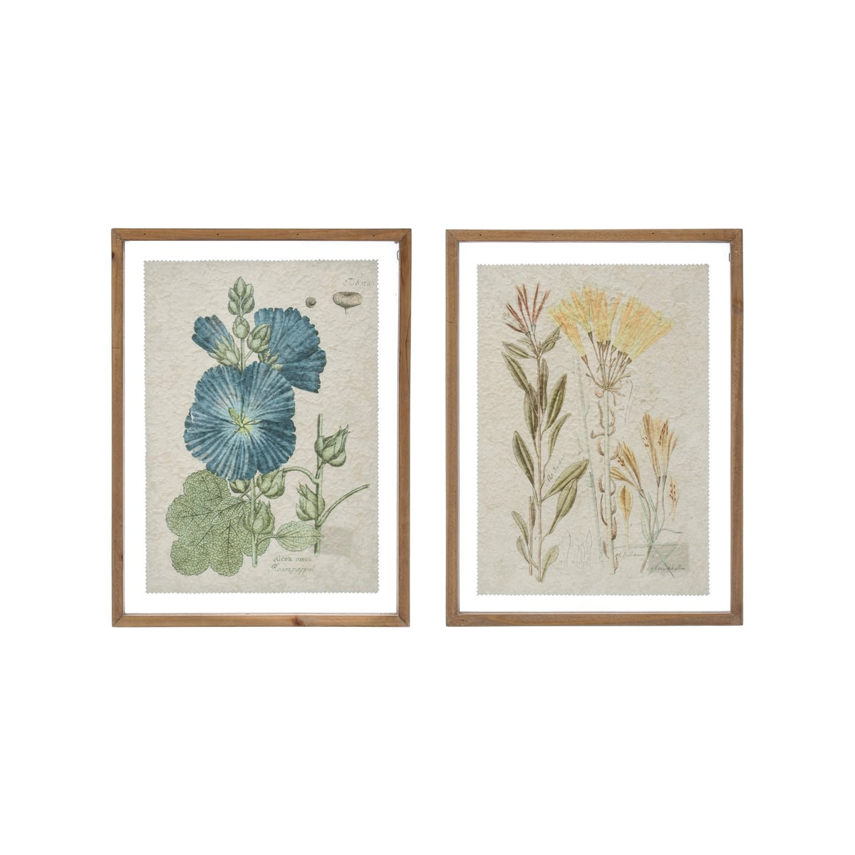 Creative Coop Glass Framed Botanical Wall Art