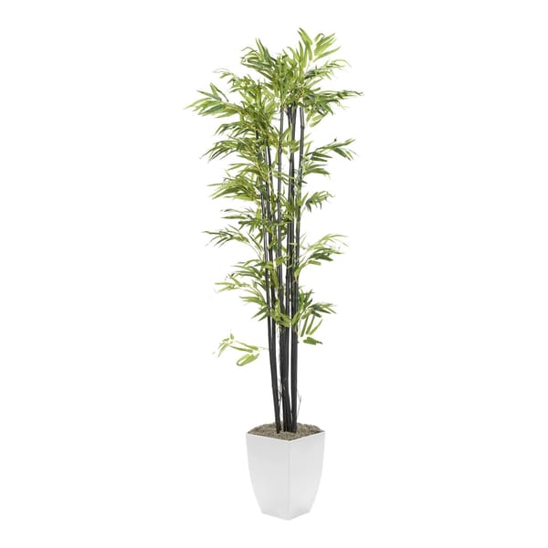 7' BLACK BAMBOO TREE IN WHITE SQUARE METAL PLANTER — WHITE SQUARE METAL PLANTER
