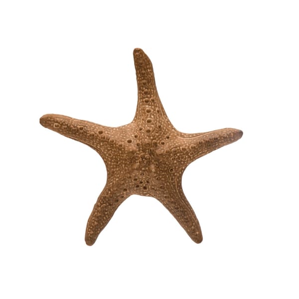 Starfish Ceramic