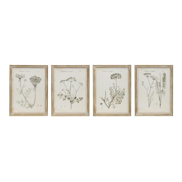 Framed Botanical