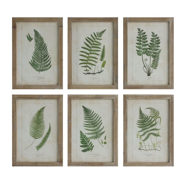 Fern print