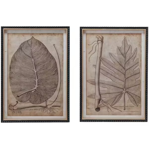 Botanical Print