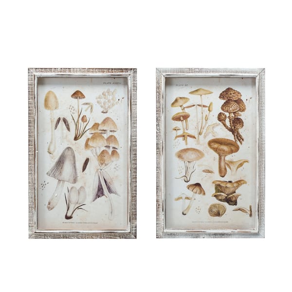 Mushroom