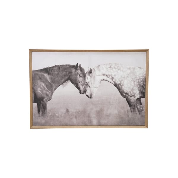 Horse Photography