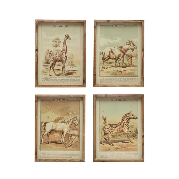 Animal Framed Prints