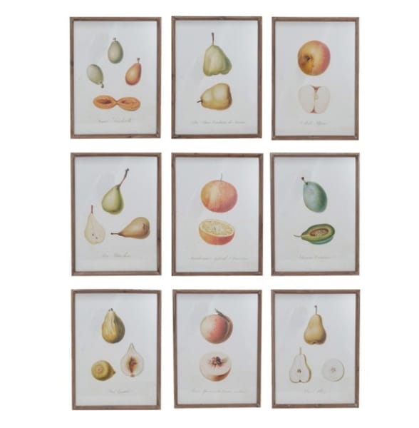 Fruit Frames