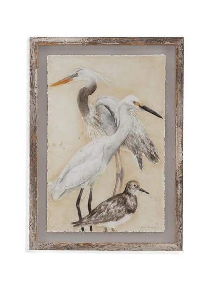 Watercolor Waterbirds II
