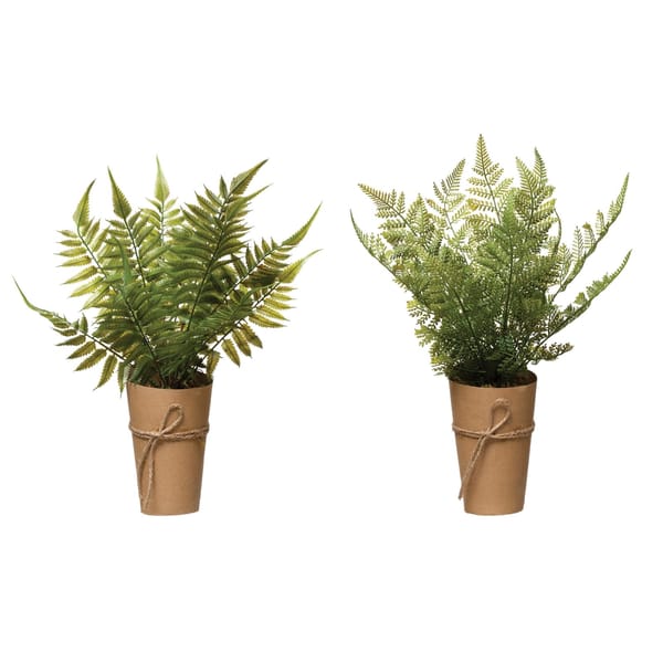 Large potted fern