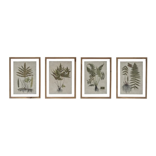 Framed Fern Print
