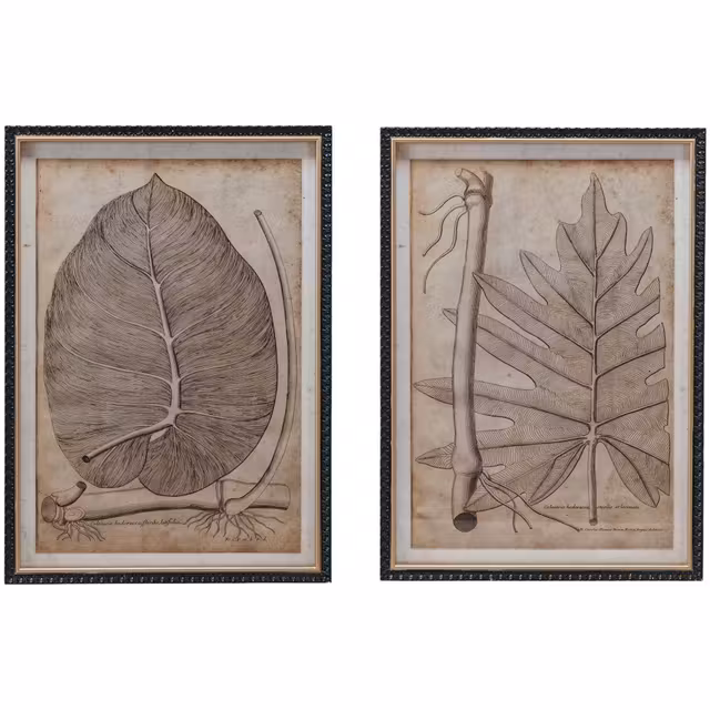 Botanical Print