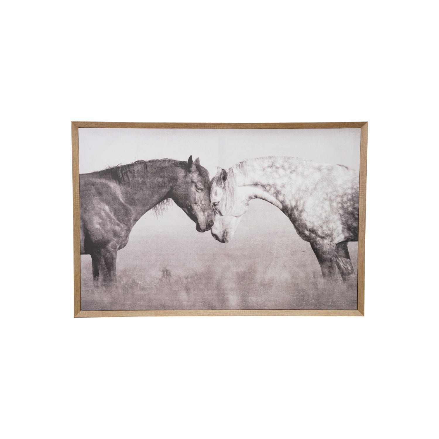 Horse Photography
