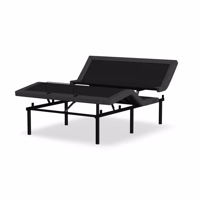 Remedy III - Adjustable with lumbar