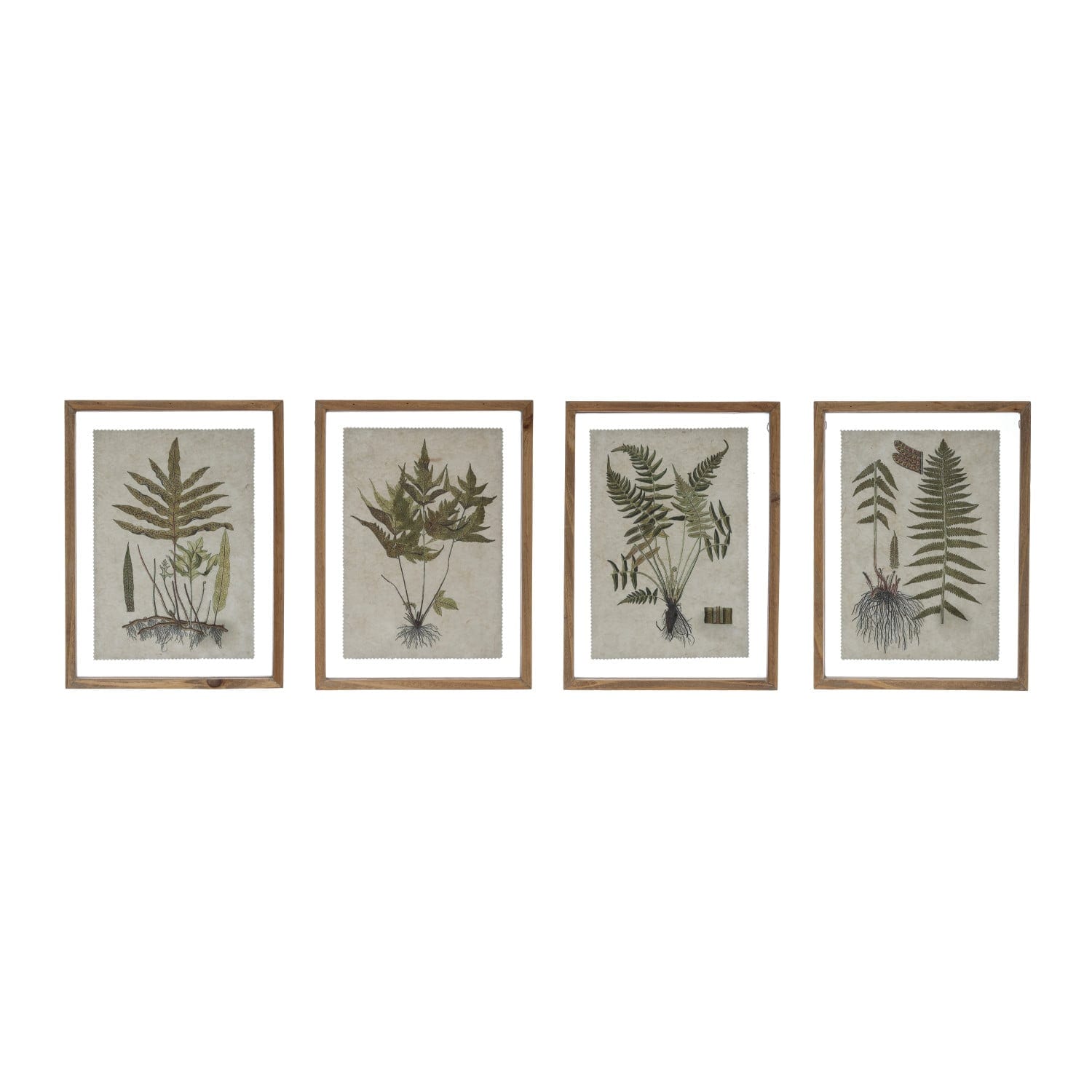 Framed Fern Print