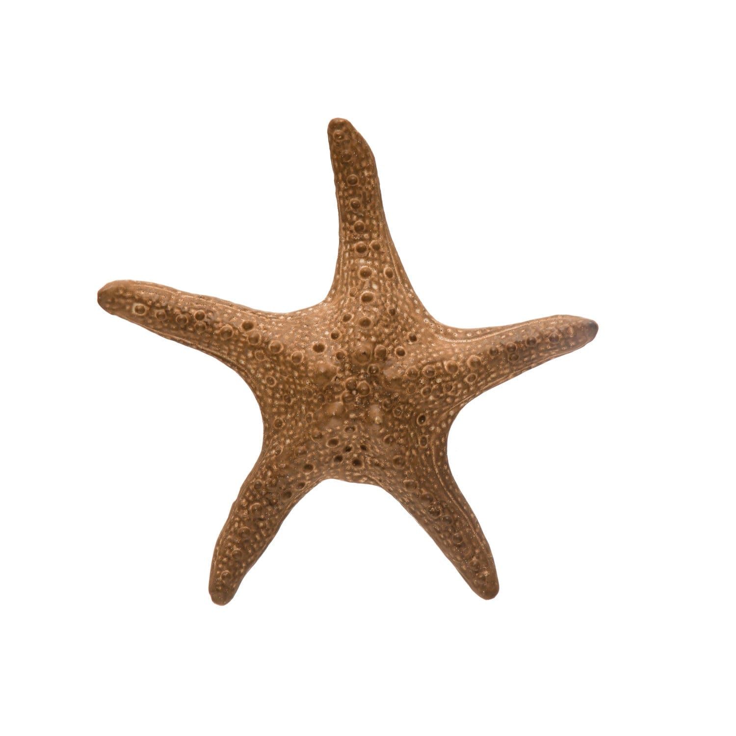 Starfish Ceramic