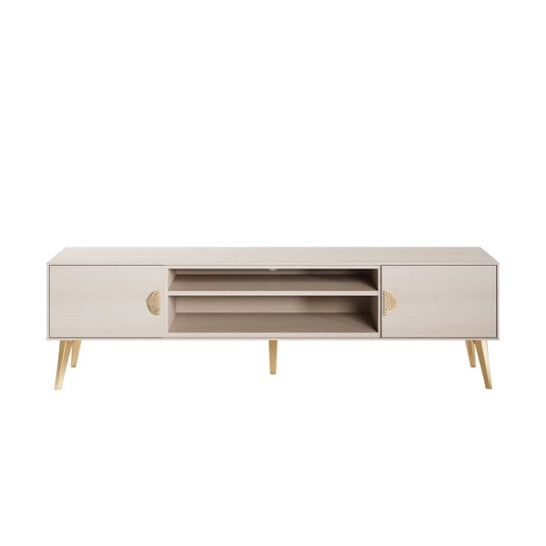 Haley Mid Century 48 Sliding Door 2 Drawer