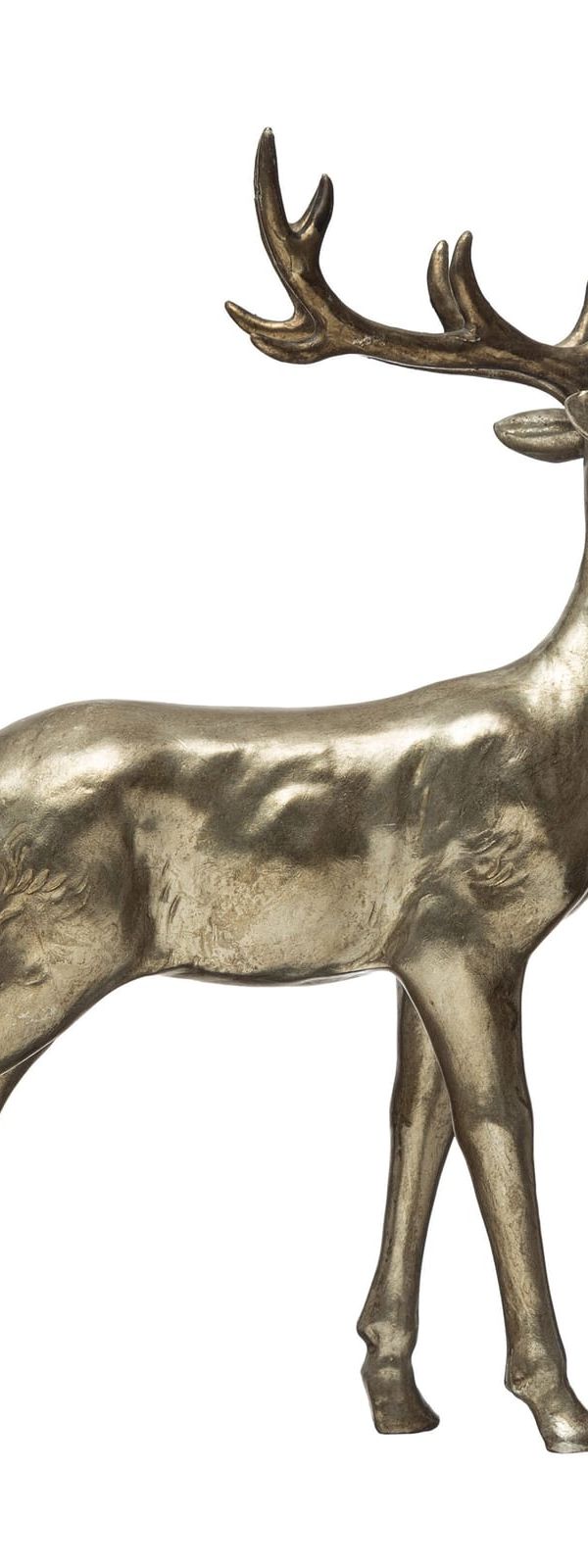 Reindeer