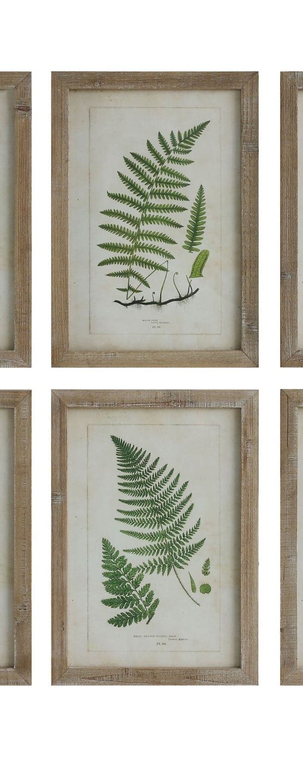 Fern print