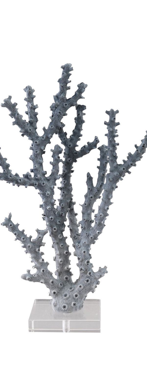Coral with Acrylic Base — Blue