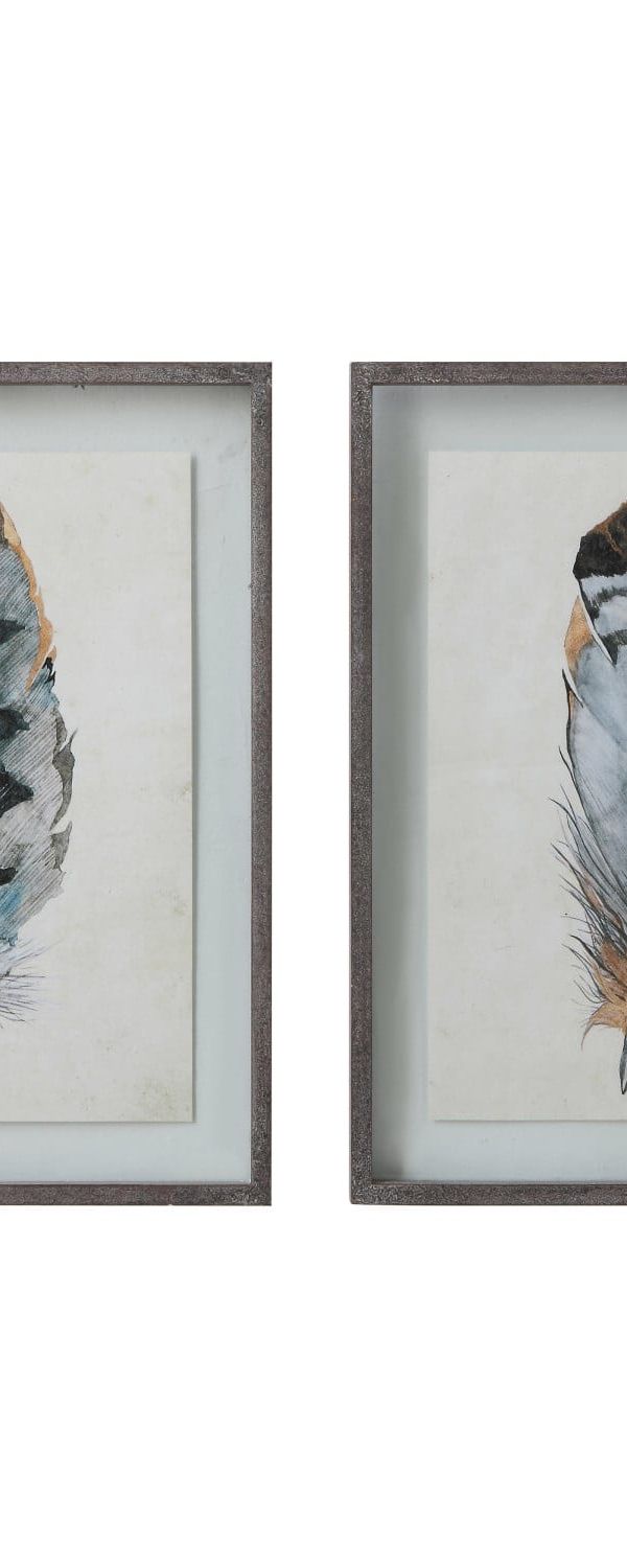 Framed feather print