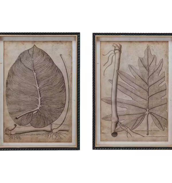 Botanical Print