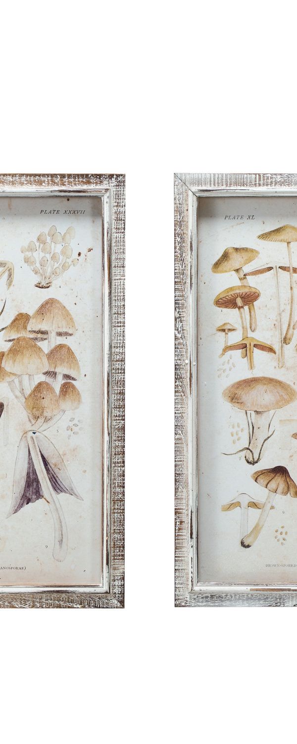 Mushroom