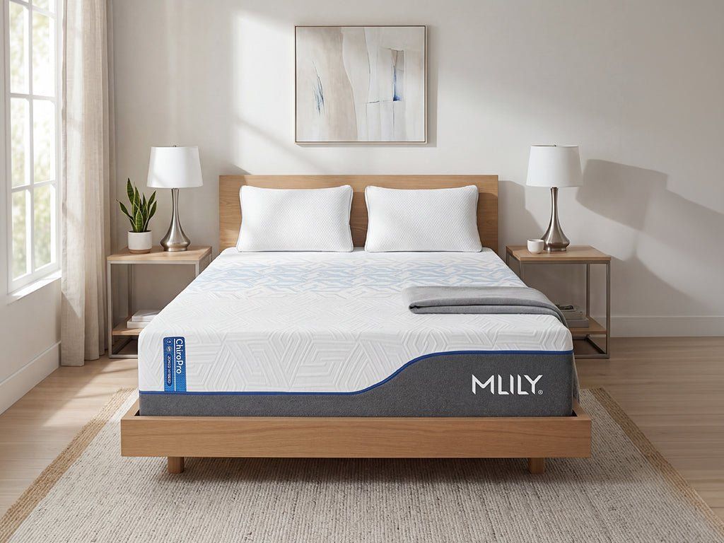 MLily ChiroPro Plush