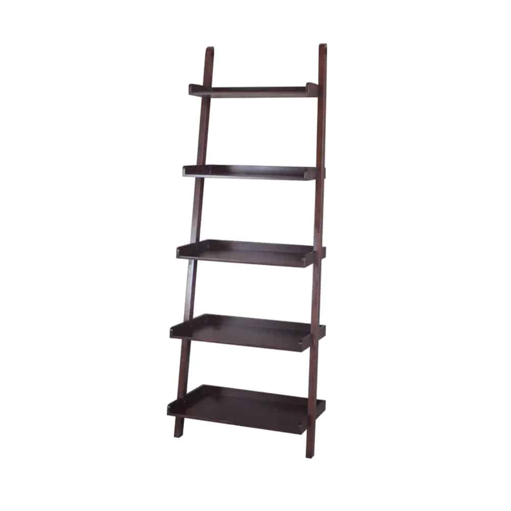 Overstock 6FT Ladder Bookshelf