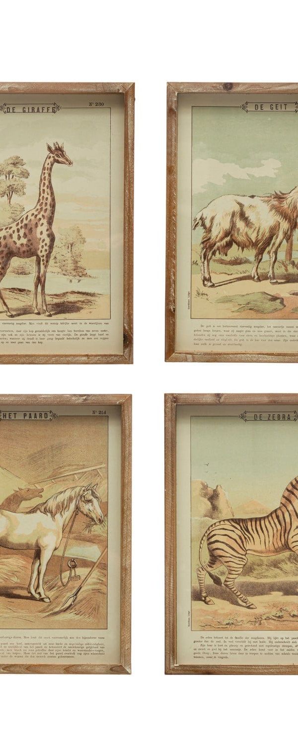 Animal Framed Prints