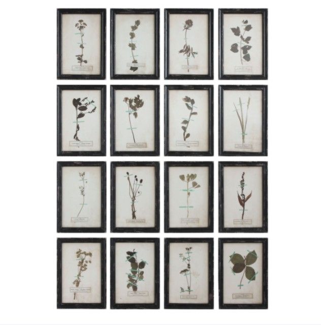 Creative Coop Apothecary Plants Framed Photo