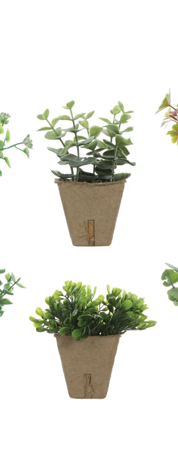 Small Potted Topiary