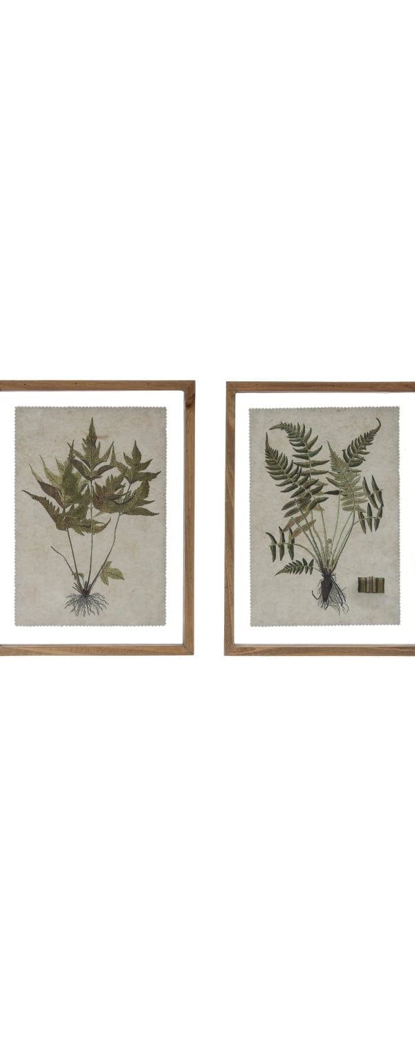 Framed Fern Print
