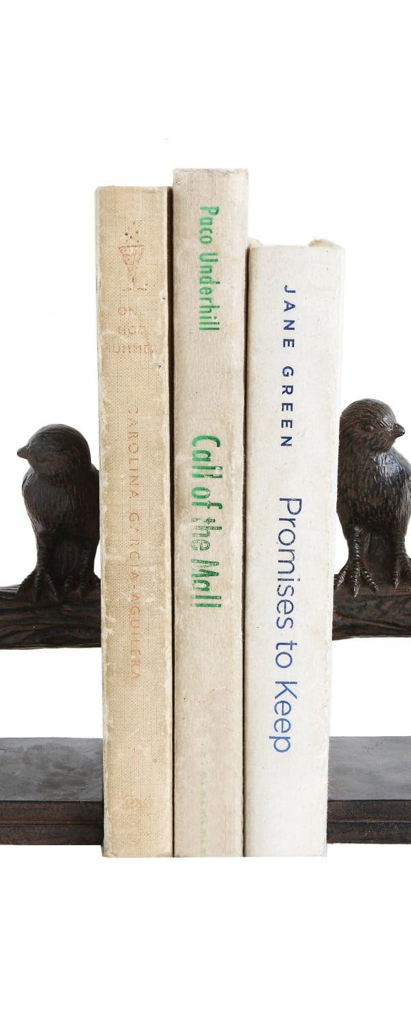 Lovebirds book end